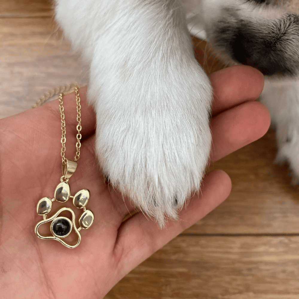 Paw Projection Necklace