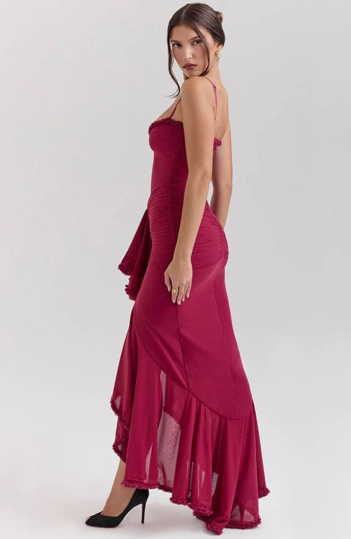 Lunessa Mesh Maxi Dress