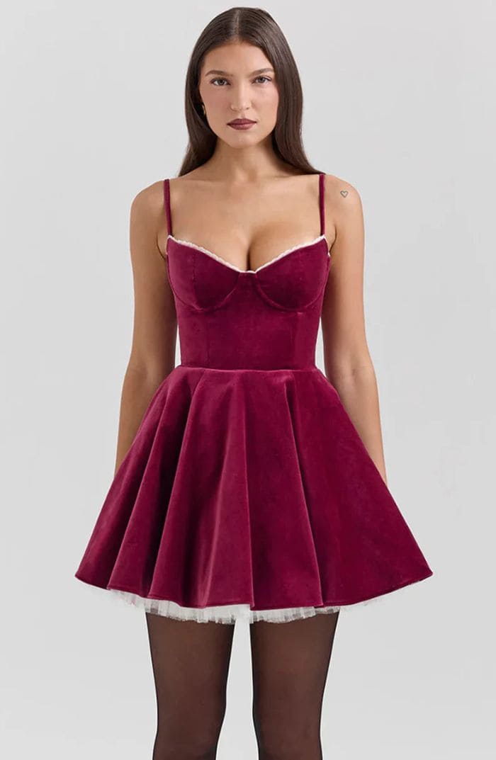 Alina Velvet Mini Dress