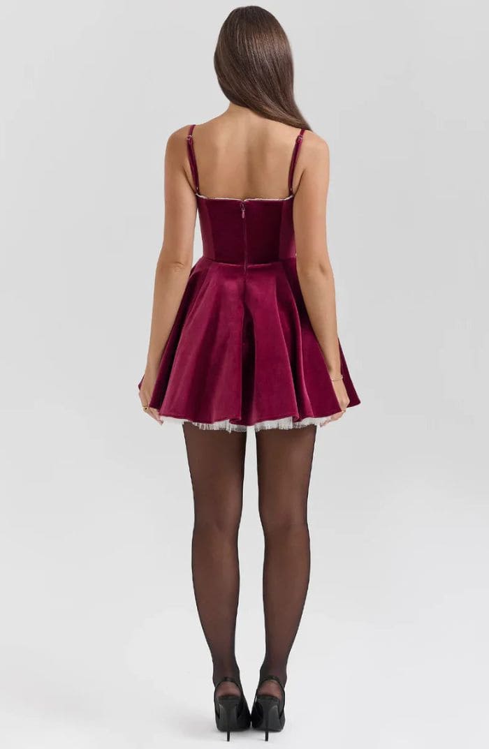 Alina Velvet Mini Dress