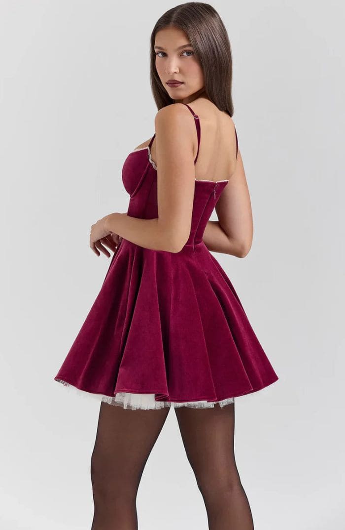 Alina Velvet Mini Dress