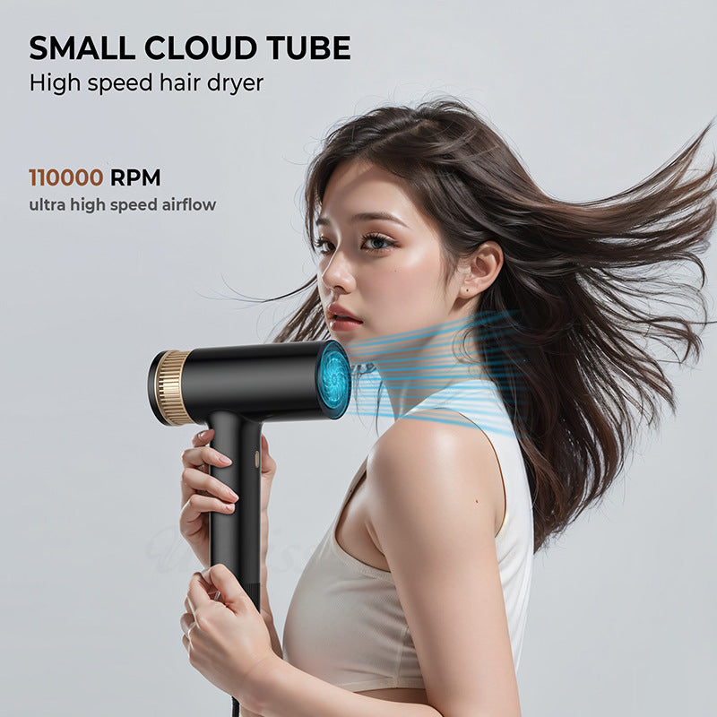 Brushless Ionic Blow Dryer